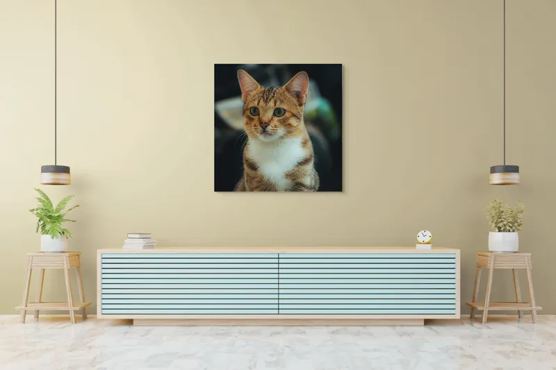 Tablou Canvas, "Pisică atentă în lumină difuză", Pisică, Tigrată, Jucăușă, Atentă, Blândă, 100 x 100 cm – poza 5
