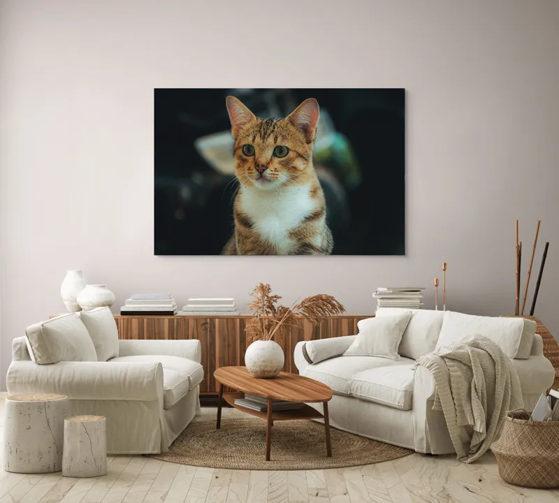 Tablou Canvas, "Pisică atentă în lumină difuză", Pisică, Tigrată, Jucăușă, Atentă, Blândă, 150 x 100 cm – poza 3