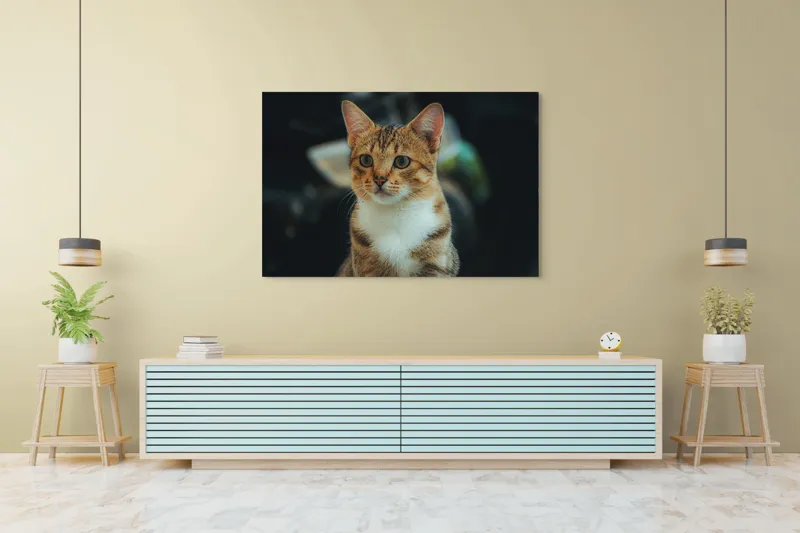 Tablou Canvas, "Pisică atentă în lumină difuză", Pisică, Tigrată, Jucăușă, Atentă, Blândă, 150 x 100 cm – poza 6