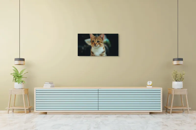 Tablou Canvas, "Pisică atentă în lumină difuză", Pisică, Tigrată, Jucăușă, Atentă, Blândă, 90 x 50 cm – poza 5
