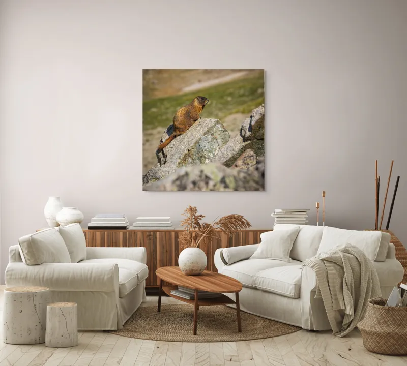 Tablou Canvas, "Marmota pe stânci sub soarele verii", Marmotă, Stâncă, Natură, Alpin, Cer, Verde, Maro, Izolare, Liniște, Serenitate, 100 x 100 cm – poza 3