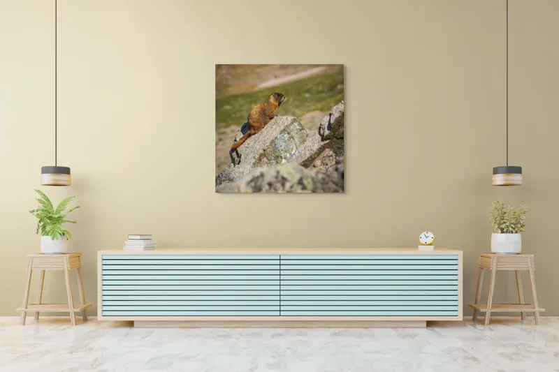 Tablou Canvas, "Marmota pe stânci sub soarele verii", Marmotă, Stâncă, Natură, Alpin, Cer, Verde, Maro, Izolare, Liniște, Serenitate, 100 x 100 cm – poza 5