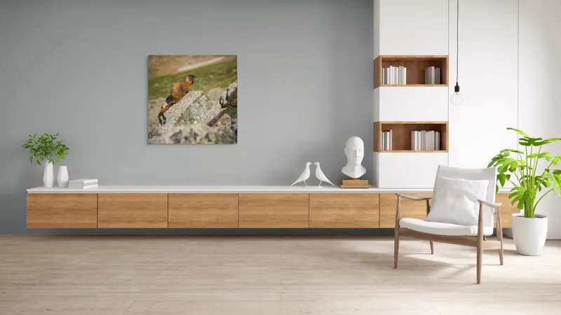 Tablou Canvas, "Marmota pe stânci sub soarele verii", Marmotă, Stâncă, Natură, Alpin, Cer, Verde, Maro, Izolare, Liniște, Serenitate, 100 x 100 cm – poza 8
