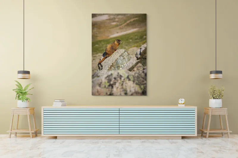 Tablou Canvas, "Marmota pe stânci sub soarele verii", Marmotă, Stâncă, Natură, Alpin, Cer, Verde, Maro, Izolare, Liniște, Serenitate, 100 x 150 cm – poza 4