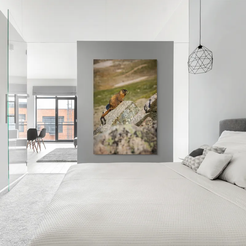Tablou Canvas, "Marmota pe stânci sub soarele verii", Marmotă, Stâncă, Natură, Alpin, Cer, Verde, Maro, Izolare, Liniște, Serenitate, 100 x 150 cm – poza 5