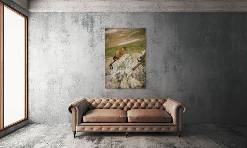Tablou Canvas, "Marmota pe stânci sub soarele verii", Marmotă, Stâncă, Natură, Alpin, Cer, Verde, Maro, Izolare, Liniște, Serenitate, 100 x 150 cm – poza 6