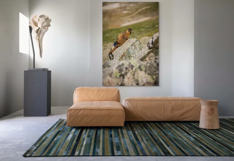Tablou Canvas, "Marmota pe stânci sub soarele verii", Marmotă, Stâncă, Natură, Alpin, Cer, Verde, Maro, Izolare, Liniște, Serenitate, 100 x 150 cm – poza 7
