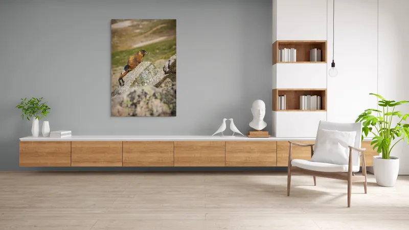 Tablou Canvas, "Marmota pe stânci sub soarele verii", Marmotă, Stâncă, Natură, Alpin, Cer, Verde, Maro, Izolare, Liniște, Serenitate, 100 x 150 cm – poza 8