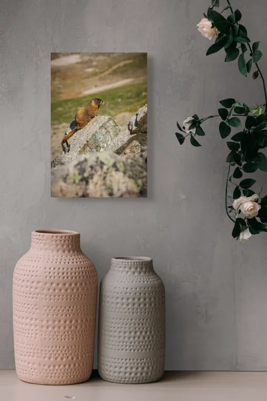 Tablou Canvas, "Marmota pe stânci sub soarele verii", Marmotă, Stâncă, Natură, Alpin, Cer, Verde, Maro, Izolare, Liniște, Serenitate, 26 x 39 cm – poza 6