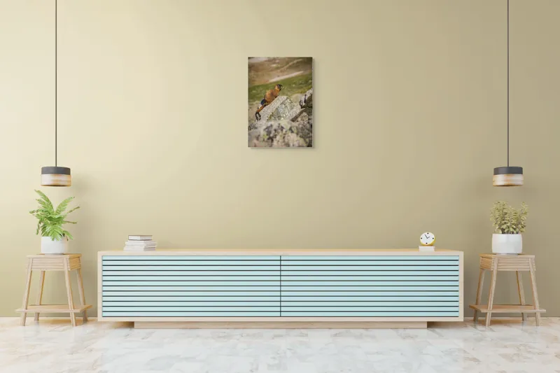 Tablou Canvas, "Marmota pe stânci sub soarele verii", Marmotă, Stâncă, Natură, Alpin, Cer, Verde, Maro, Izolare, Liniște, Serenitate, 50 x 70 cm – poza 6