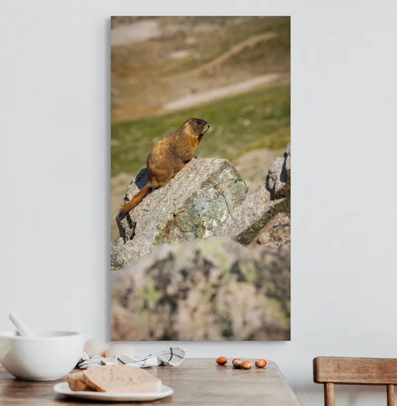 Tablou Canvas, "Marmota pe stânci sub soarele verii", Marmotă, Stâncă, Natură, Alpin, Cer, Verde, Maro, Izolare, Liniște, Serenitate, 50 x 90 cm – poza 3