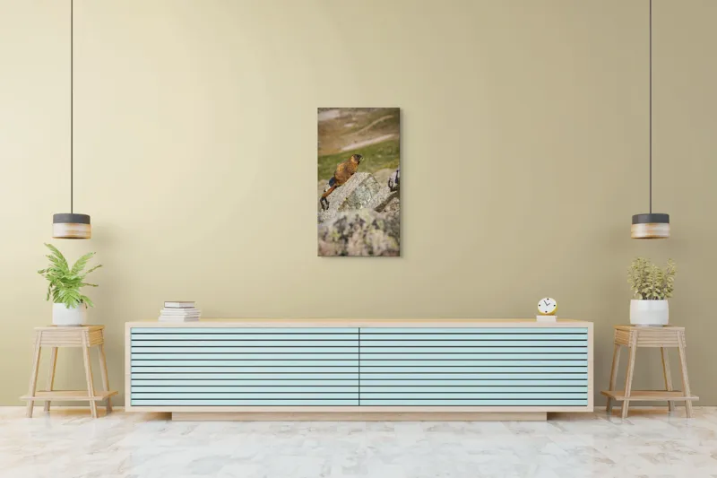 Tablou Canvas, "Marmota pe stânci sub soarele verii", Marmotă, Stâncă, Natură, Alpin, Cer, Verde, Maro, Izolare, Liniște, Serenitate, 50 x 90 cm – poza 6