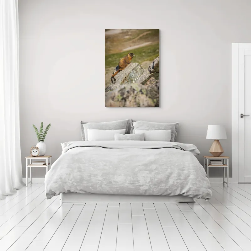 Tablou Canvas, "Marmota pe stânci sub soarele verii", Marmotă, Stâncă, Natură, Alpin, Cer, Verde, Maro, Izolare, Liniște, Serenitate, 70 x 100 cm – poza 3