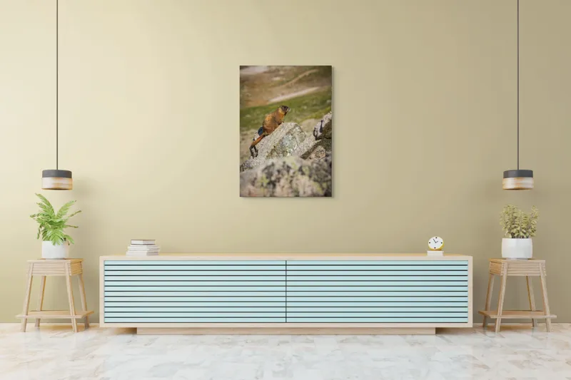 Tablou Canvas, "Marmota pe stânci sub soarele verii", Marmotă, Stâncă, Natură, Alpin, Cer, Verde, Maro, Izolare, Liniște, Serenitate, 70 x 100 cm – poza 5