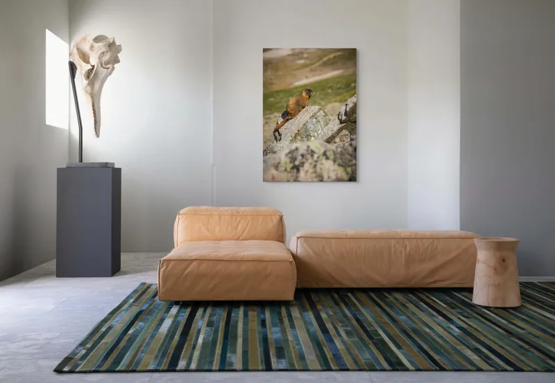 Tablou Canvas, "Marmota pe stânci sub soarele verii", Marmotă, Stâncă, Natură, Alpin, Cer, Verde, Maro, Izolare, Liniște, Serenitate, 70 x 100 cm – poza 7