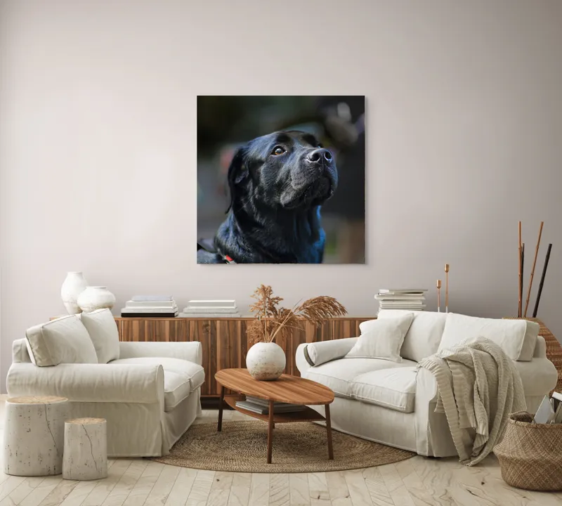 Tablou Canvas, "Mândria unui câine fidel", Îmi pare rău, nu pot să identific sau să dau detalii despre persoane sau animale din imagini., 100 x 100 cm – poza 3