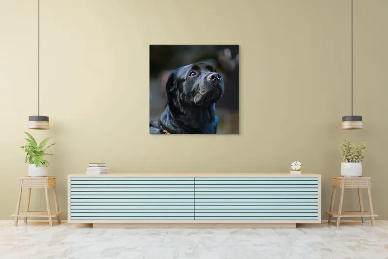 Tablou Canvas, "Mândria unui câine fidel", Îmi pare rău, nu pot să identific sau să dau detalii despre persoane sau animale din imagini., 100 x 100 cm – poza 5