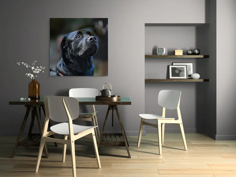 Tablou Canvas, "Mândria unui câine fidel", Îmi pare rău, nu pot să identific sau să dau detalii despre persoane sau animale din imagini., 100 x 100 cm – poza 6