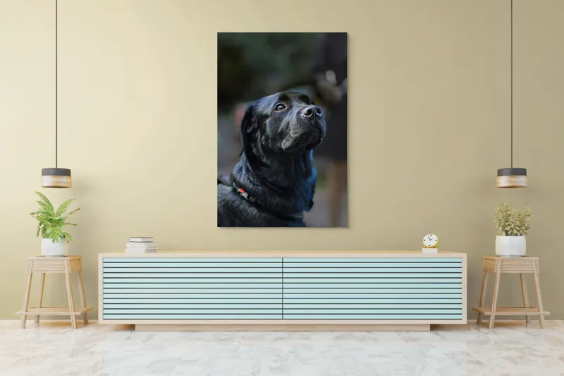 Tablou Canvas, "Mândria unui câine fidel", Îmi pare rău, nu pot să identific sau să dau detalii despre persoane sau animale din imagini., 100 x 150 cm – poza 4