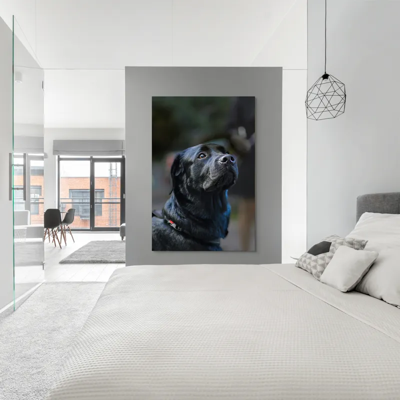 Tablou Canvas, "Mândria unui câine fidel", Îmi pare rău, nu pot să identific sau să dau detalii despre persoane sau animale din imagini., 100 x 150 cm – poza 5