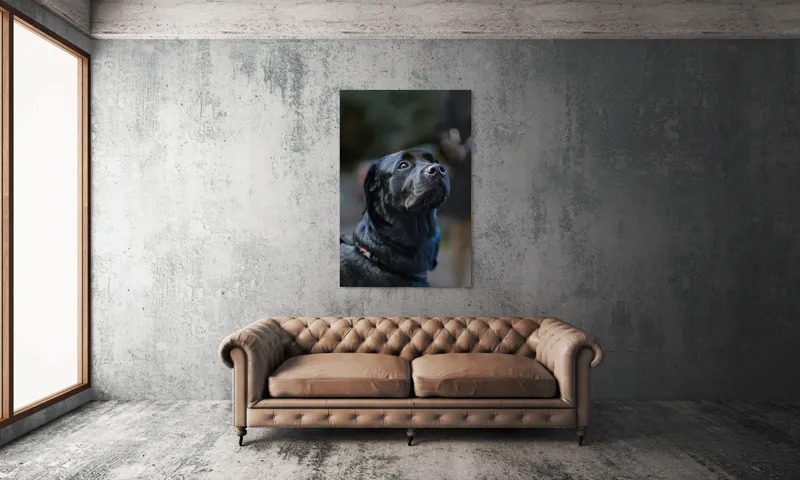 Tablou Canvas, "Mândria unui câine fidel", Îmi pare rău, nu pot să identific sau să dau detalii despre persoane sau animale din imagini., 100 x 150 cm – poza 6