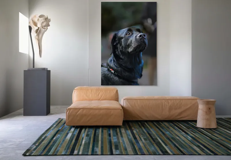 Tablou Canvas, "Mândria unui câine fidel", Îmi pare rău, nu pot să identific sau să dau detalii despre persoane sau animale din imagini., 100 x 150 cm – poza 7