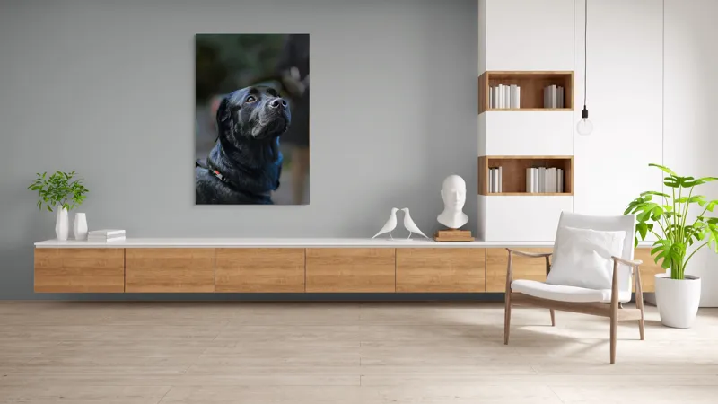 Tablou Canvas, "Mândria unui câine fidel", Îmi pare rău, nu pot să identific sau să dau detalii despre persoane sau animale din imagini., 100 x 150 cm – poza 8