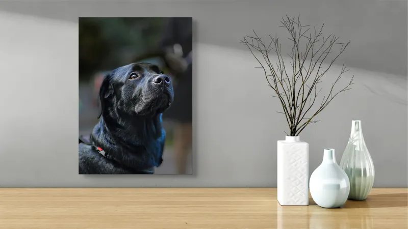 Tablou Canvas, "Mândria unui câine fidel", Îmi pare rău, nu pot să identific sau să dau detalii despre persoane sau animale din imagini., 39 x 54 cm – poza 4
