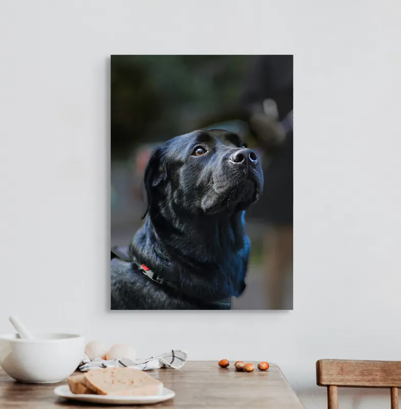 Tablou Canvas, "Mândria unui câine fidel", 50 x 70 cm – poza 3