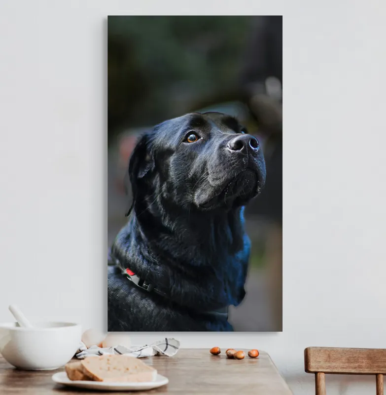 Tablou Canvas, "Mândria unui câine fidel", 50 x 90 cm – poza 3