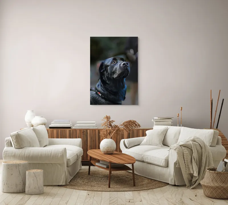 Tablou Canvas, "Mândria unui câine fidel", Îmi pare rău, nu pot să identific sau să dau detalii despre persoane sau animale din imagini., 70 x 100 cm – poza 4