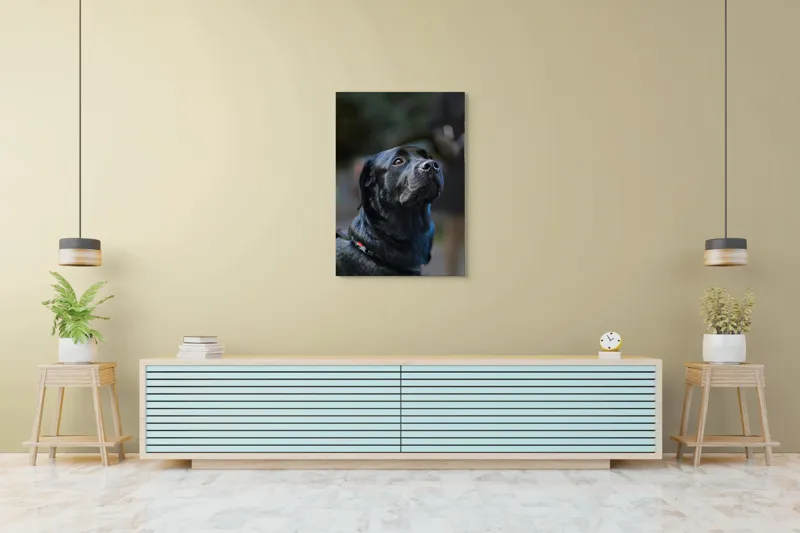 Tablou Canvas, "Mândria unui câine fidel", Îmi pare rău, nu pot să identific sau să dau detalii despre persoane sau animale din imagini., 70 x 100 cm – poza 5