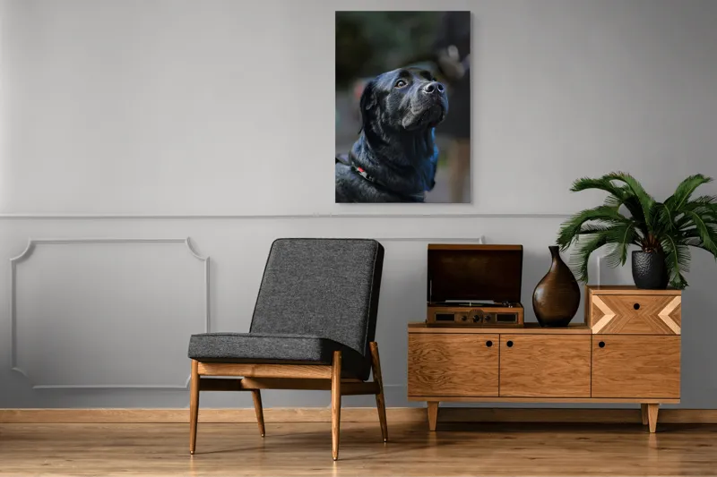 Tablou Canvas, "Mândria unui câine fidel", Îmi pare rău, nu pot să identific sau să dau detalii despre persoane sau animale din imagini., 70 x 100 cm – poza 6