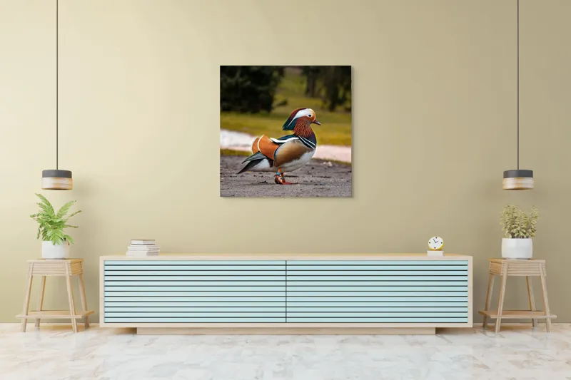 Tablou Canvas, "Rață mandarină în splendoarea ei", Rățușcă, Colorată, Elegantă, Peisaj, Natură, Armonie, Pădure, Libertate, 100 x 100 cm – poza 5