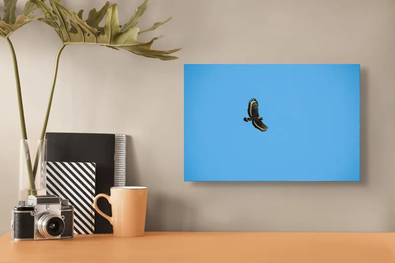 Tablou Canvas, "Zborul înalt al vulturului solitar", Vultur, Albastru, Cer, Înalt, Libertate, Aripi, Zbor, Majestuos, Natură, Solitudine, 39 x 26 cm – poza 3