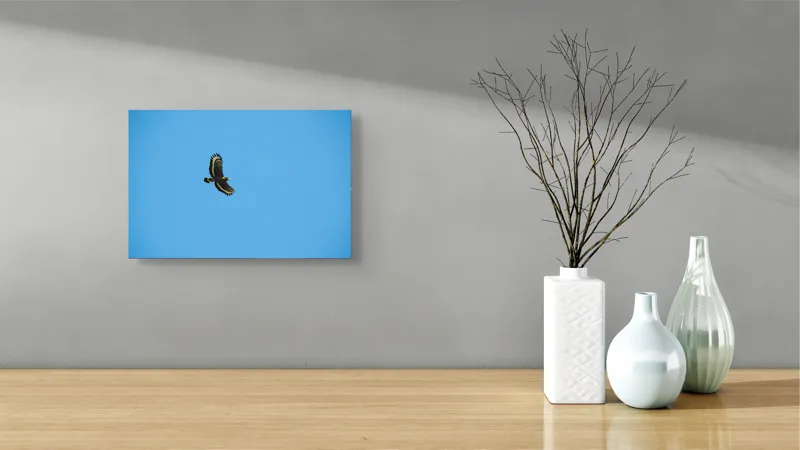 Tablou Canvas, "Zborul înalt al vulturului solitar", Vultur, Albastru, Cer, Înalt, Libertate, Aripi, Zbor, Majestuos, Natură, Solitudine, 39 x 26 cm – poza 8