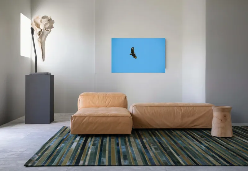 Tablou Canvas, "Zborul înalt al vulturului solitar", Vultur, Albastru, Cer, Înalt, Libertate, Aripi, Zbor, Majestuos, Natură, Solitudine, 90 x 50 cm – poza 8