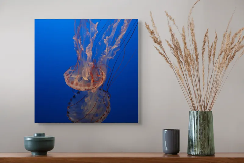 Tablou Canvas, "Misterul dansului subacvatic al meduzei", Mister, Grație, Transparență, Curaj, Frumusețe, Lumină, Curiozitate, Adâncime, Libertate., 50 x 50 cm – poza 4
