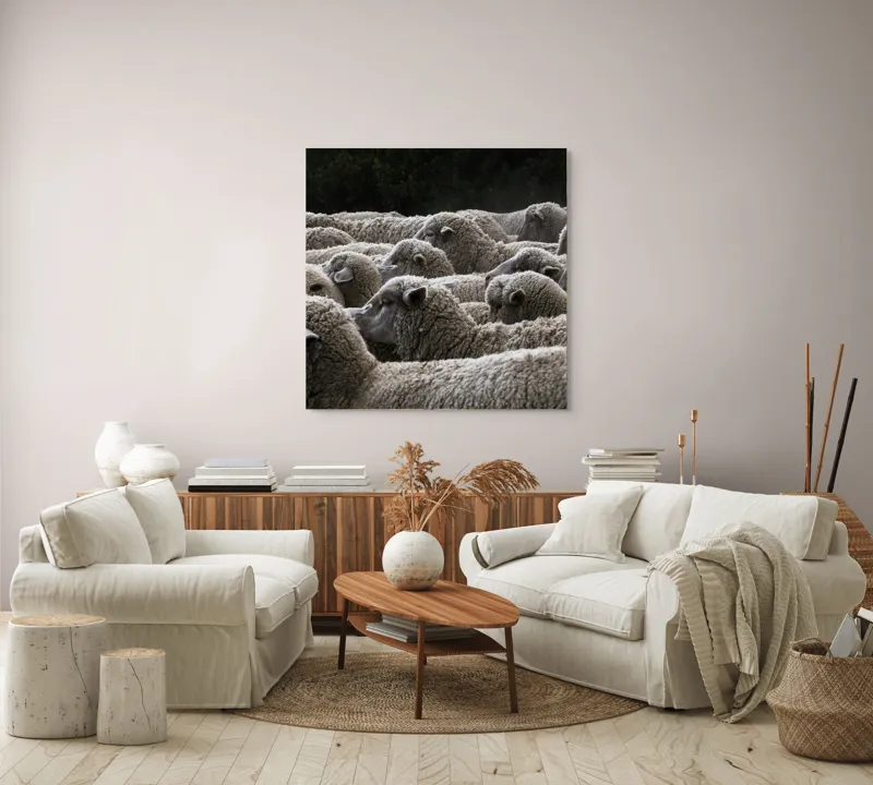 Tablou Canvas, "Turma de oi în amurg", Lână, Oi, Mulțime, Țesătură, Blană, Camp, Natură, Peisaj, Rânduri, Nori, Stațiune, Animale, Liniște, 100 x 100 cm – poza 3