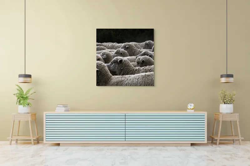 Tablou Canvas, "Turma de oi în amurg", Lână, Oi, Mulțime, Țesătură, Blană, Camp, Natură, Peisaj, Rânduri, Nori, Stațiune, Animale, Liniște, 100 x 100 cm – poza 5