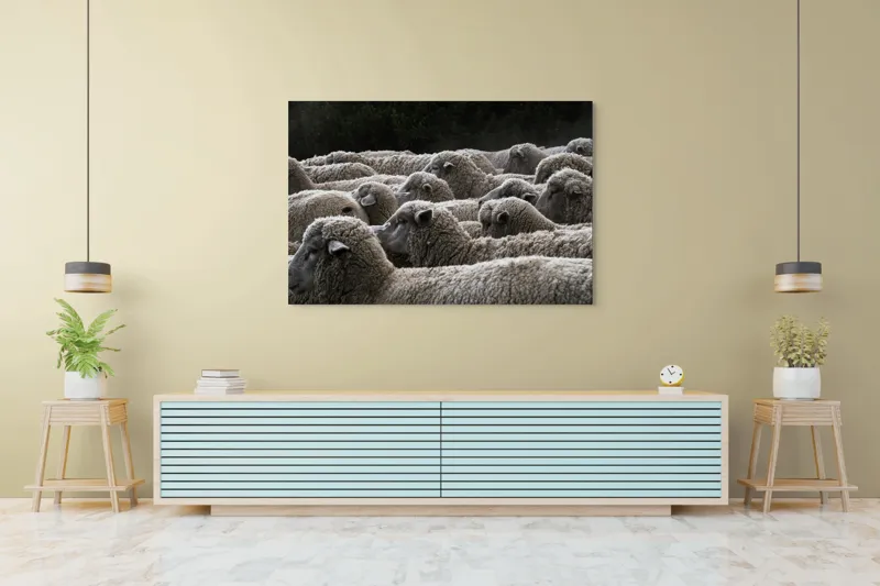 Tablou Canvas, "Turma de oi în amurg", Lână, Oi, Mulțime, Țesătură, Blană, Camp, Natură, Peisaj, Rânduri, Nori, Stațiune, Animale, Liniște, 150 x 100 cm – poza 6