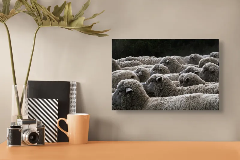 Tablou Canvas, "Turma de oi în amurg", Lână, Oi, Mulțime, Țesătură, Blană, Camp, Natură, Peisaj, Rânduri, Nori, Stațiune, Animale, Liniște, 39 x 26 cm – poza 3