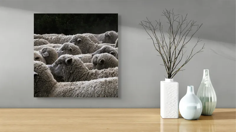 Tablou Canvas, "Turma de oi în amurg", Lână, Oi, Mulțime, Țesătură, Blană, Camp, Natură, Peisaj, Rânduri, Nori, Stațiune, Animale, Liniște, 50 x 50 cm – poza 3