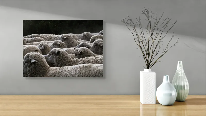 Tablou Canvas, "Turma de oi în amurg", Lână, Oi, Mulțime, Țesătură, Blană, Camp, Natură, Peisaj, Rânduri, Nori, Stațiune, Animale, Liniște, 54 x 39 cm – poza 3