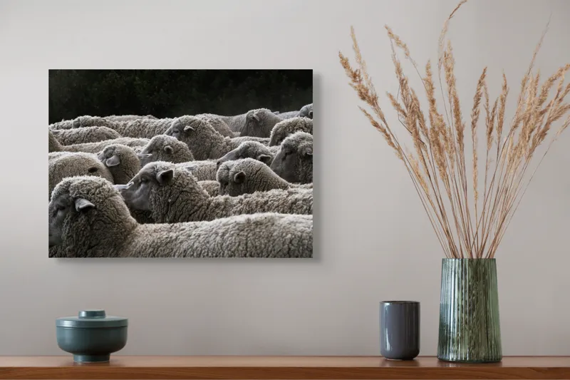 Tablou Canvas, "Turma de oi în amurg", Lână, Oi, Mulțime, Țesătură, Blană, Camp, Natură, Peisaj, Rânduri, Nori, Stațiune, Animale, Liniște, 54 x 39 cm – poza 4