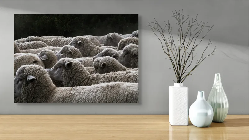 Tablou Canvas, "Turma de oi în amurg", Lână, Oi, Mulțime, Țesătură, Blană, Camp, Natură, Peisaj, Rânduri, Nori, Stațiune, Animale, Liniște, 70 x 50 cm – poza 3