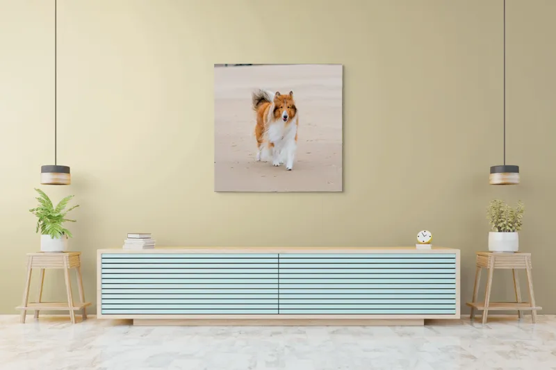 Tablou Canvas, "Câine alergând liber pe plajă", Câine, Nisip, Blană, Mare, Plajă, Mișcare, Relaxare, Bucle, Cozi, Fericire, 100 x 100 cm – poza 5