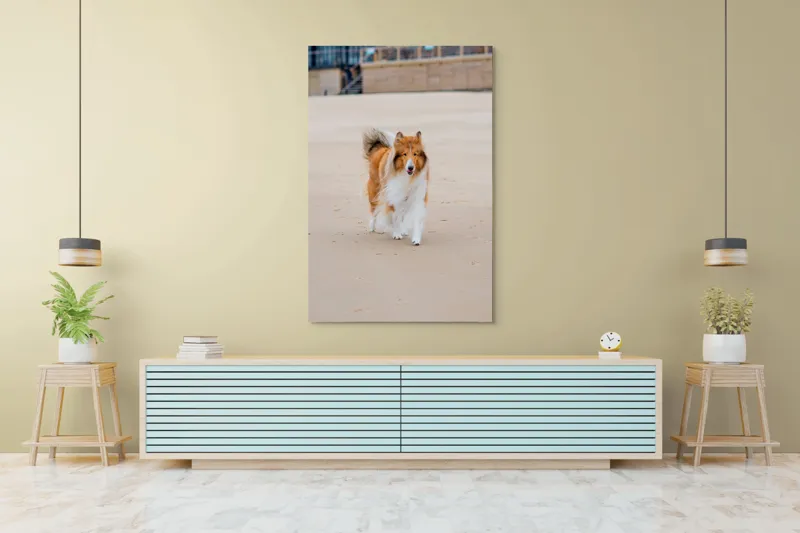 Tablou Canvas, "Câine alergând liber pe plajă", Câine, Nisip, Blană, Mare, Plajă, Mișcare, Relaxare, Bucle, Cozi, Fericire, 100 x 150 cm – poza 4