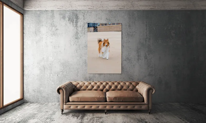 Tablou Canvas, "Câine alergând liber pe plajă", Câine, Nisip, Blană, Mare, Plajă, Mișcare, Relaxare, Bucle, Cozi, Fericire, 100 x 150 cm – poza 6