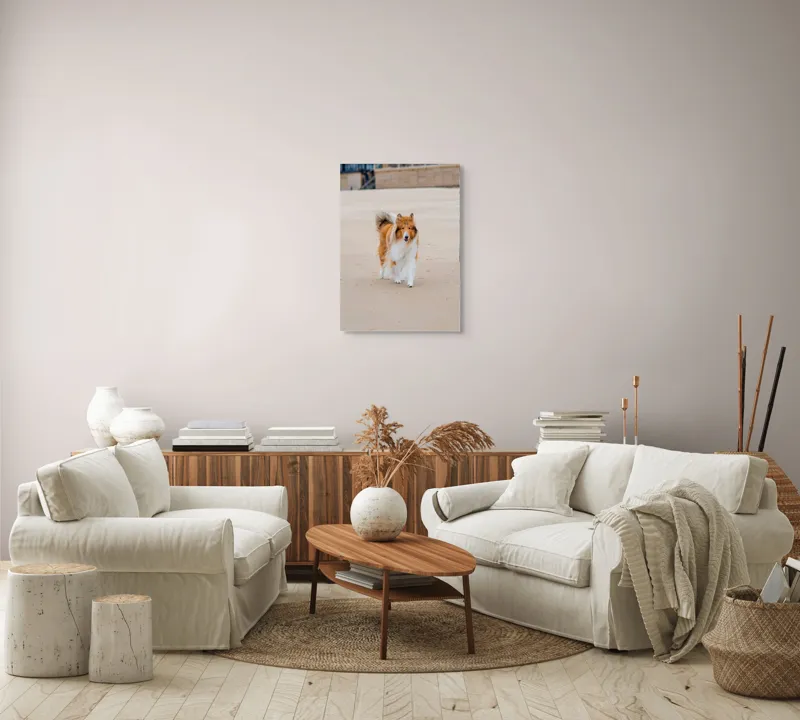 Tablou Canvas, "Câine alergând liber pe plajă", Câine, Nisip, Blană, Mare, Plajă, Mișcare, Relaxare, Bucle, Cozi, Fericire, 50 x 70 cm – poza 4